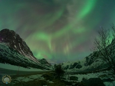 25113165787_86afefa1df_k-2