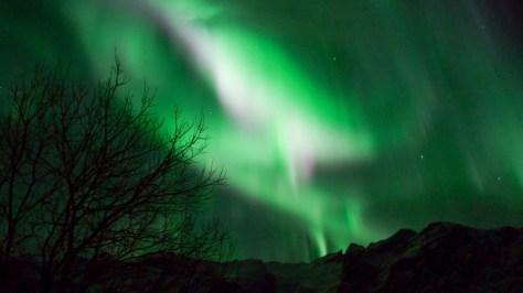 39952233412_d1acea7cdf_k