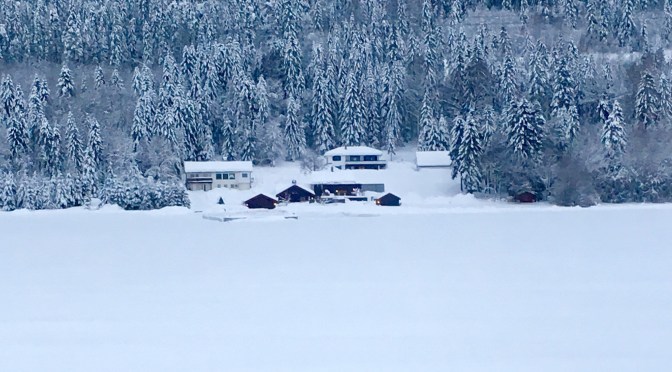 Oslo to Bergen: a magical train journey in winter wonderland