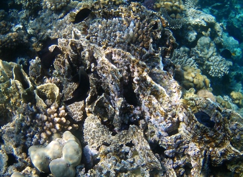 Paradise island, Hurghada, Egypt