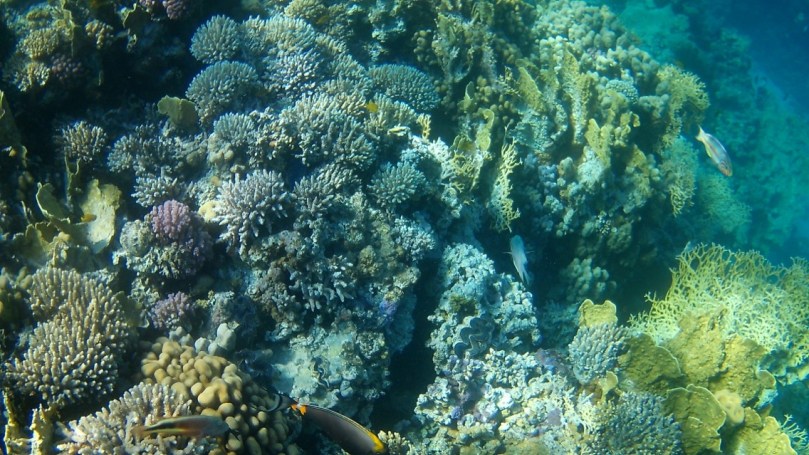 Paradise island, Hurghada, Egypt