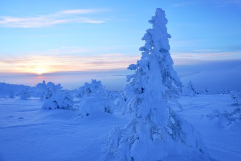 Sirkka, Finland, Levi, Lapland