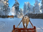December, Christmas, Rovaniemi, Lapland, Finland