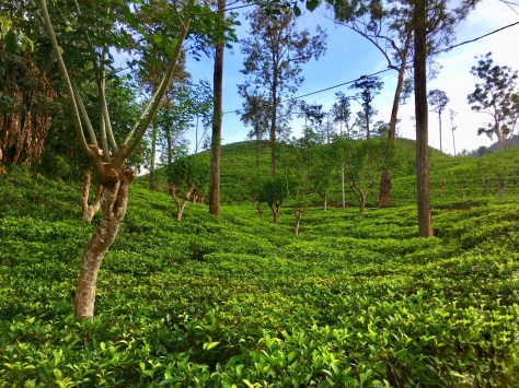 Ella, Sri Lanka, beautiful places