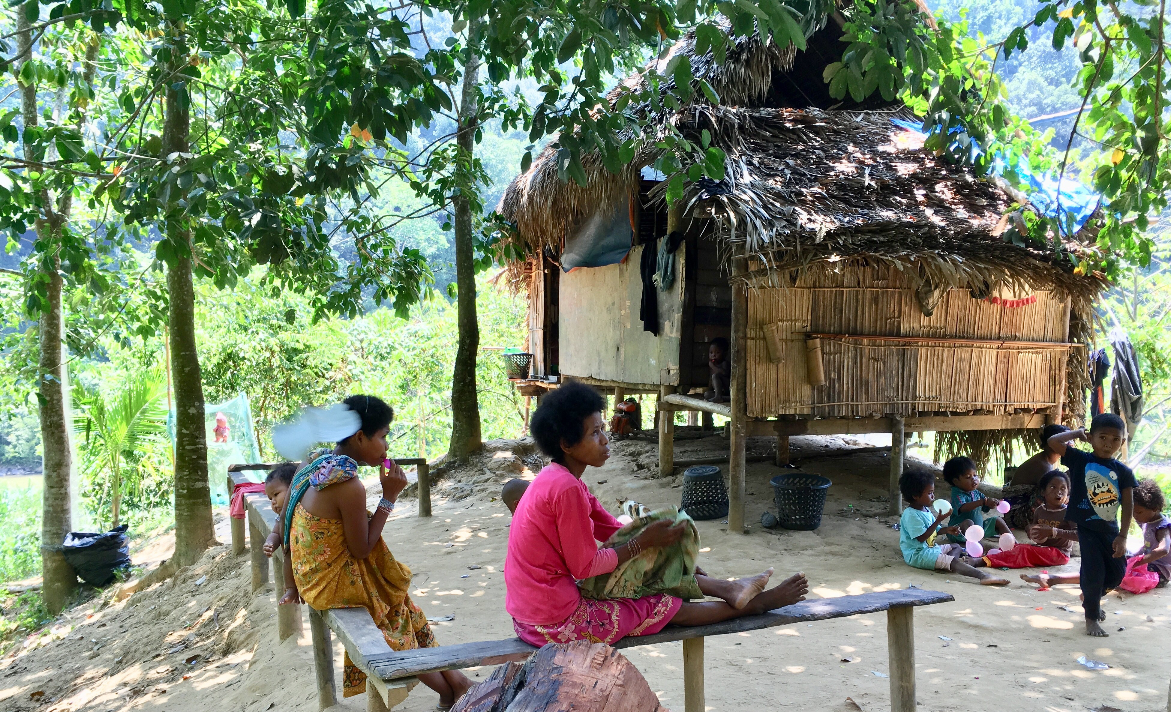 Malaysia, Orang Asli Tribe, Taman Negara