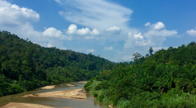 Malaysia: Jungle trekking in Taman Negara