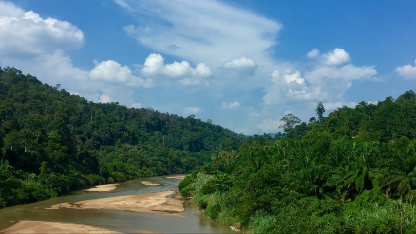 Taman Negara, Malaysia, jungle, Asia