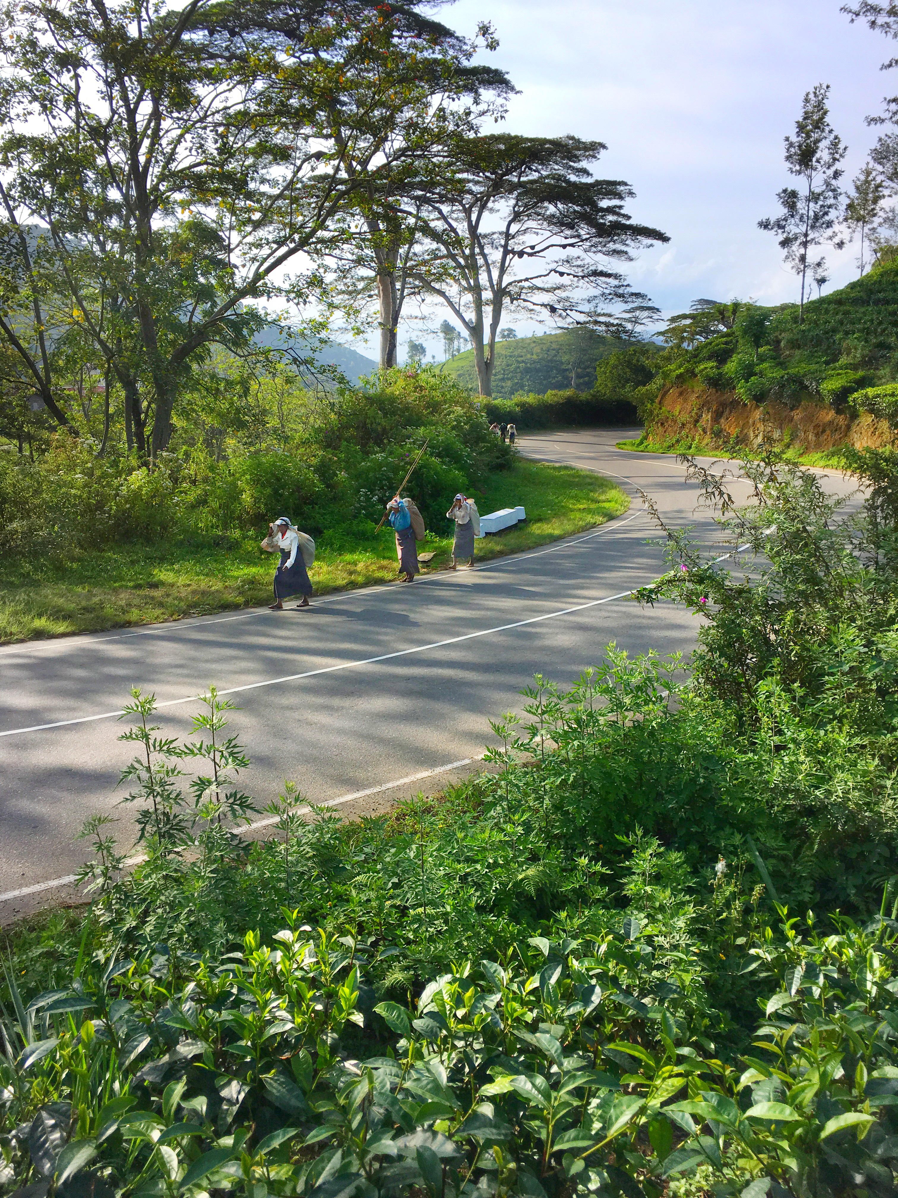Ella, Sri Lanka, beautiful places