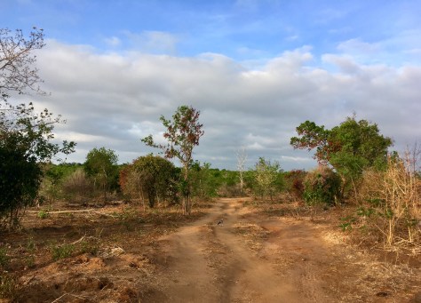 Sri Lanka, safari in Udawalawe, beautiful places
