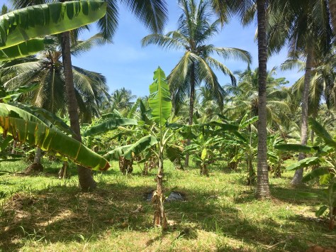 Sri Lanka, beautiful places, beautiful destinations