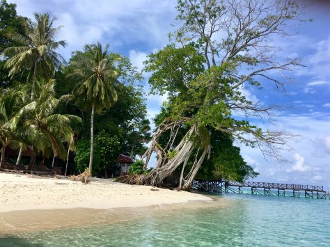 Sipadan island, diving, scuba, Asia, Malaysia, Borneo, beautiful places, adventure