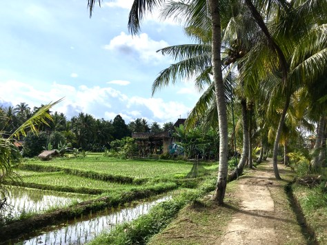 Ubud, Bali, Indonesia