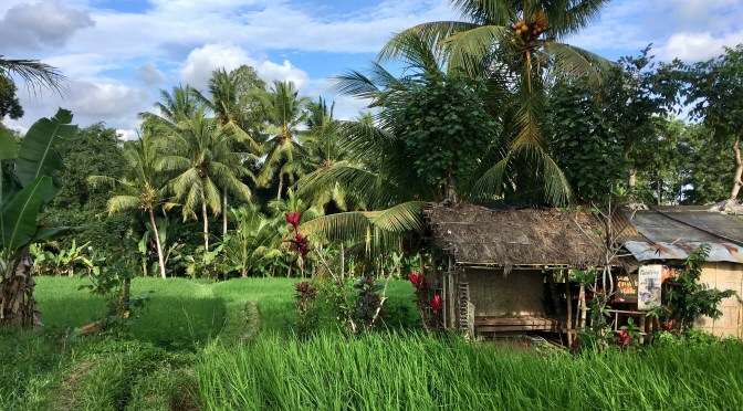 Bali – the OMG of Ubud