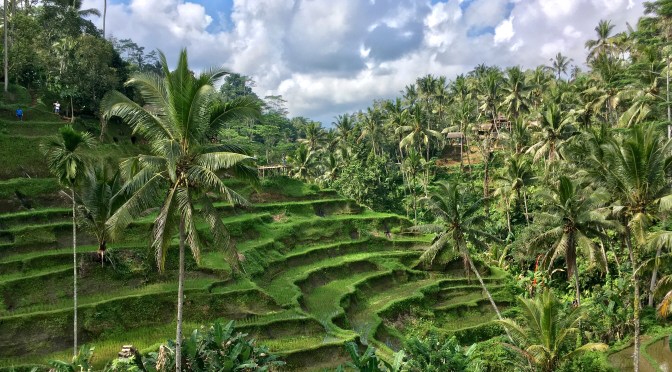 Bali: Best one day tour close to Ubud