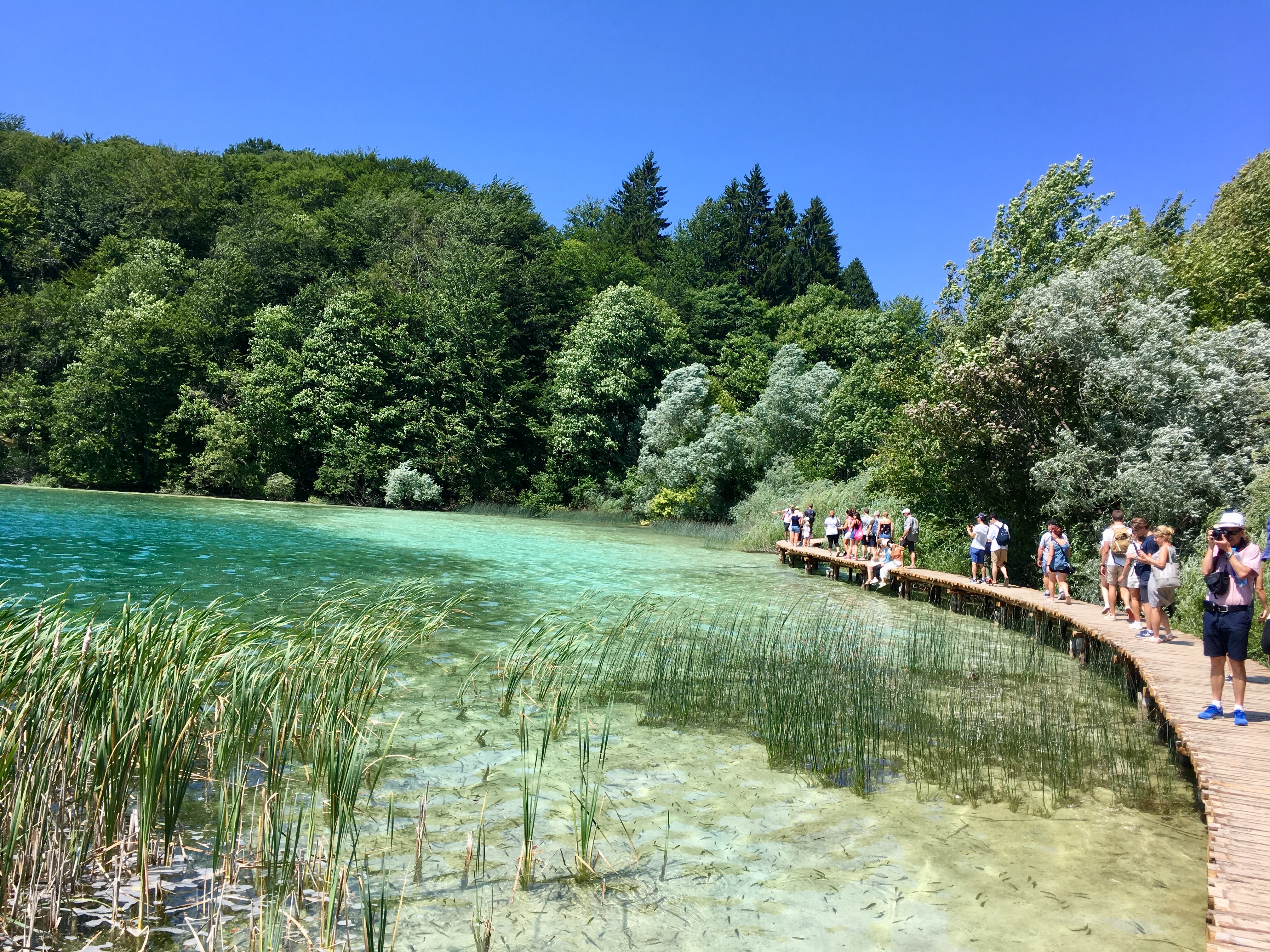 Plitvice Lakes, Croatia