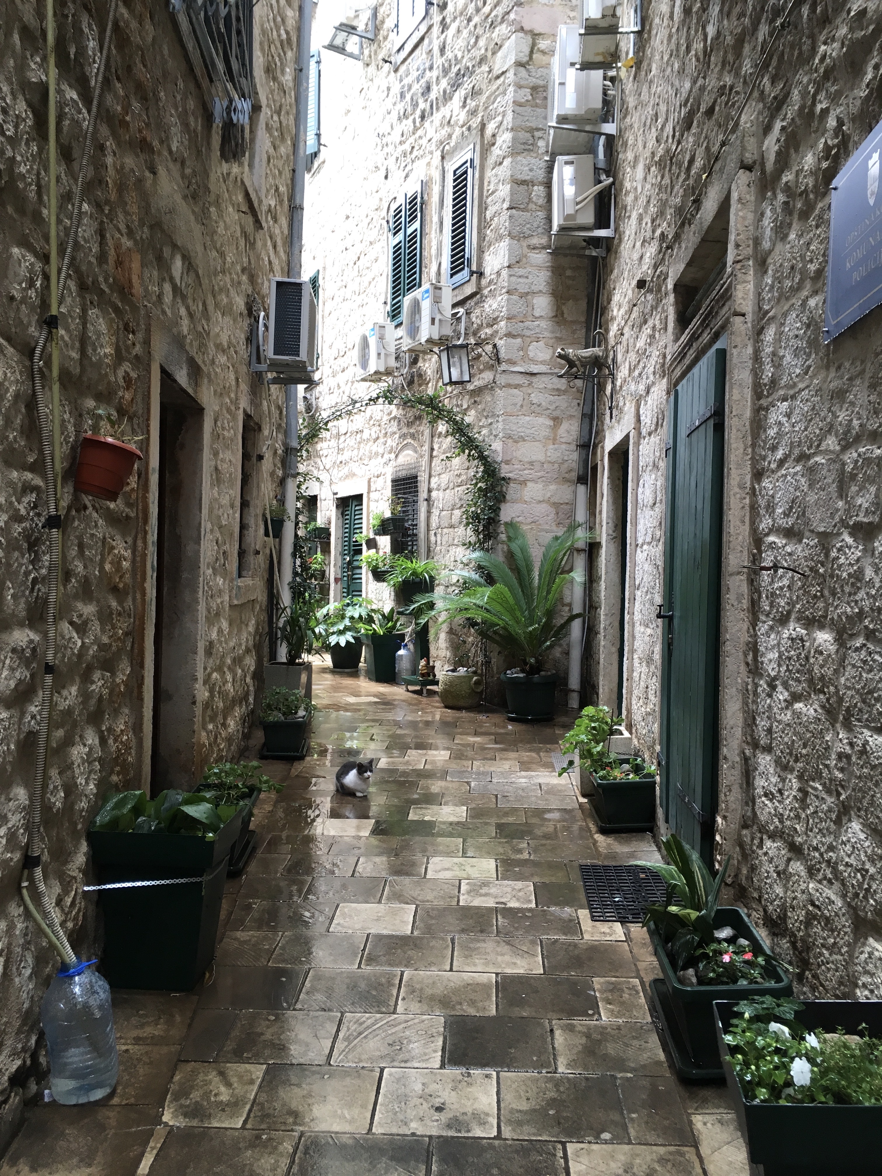 Kotor Old Town, Montenegro
