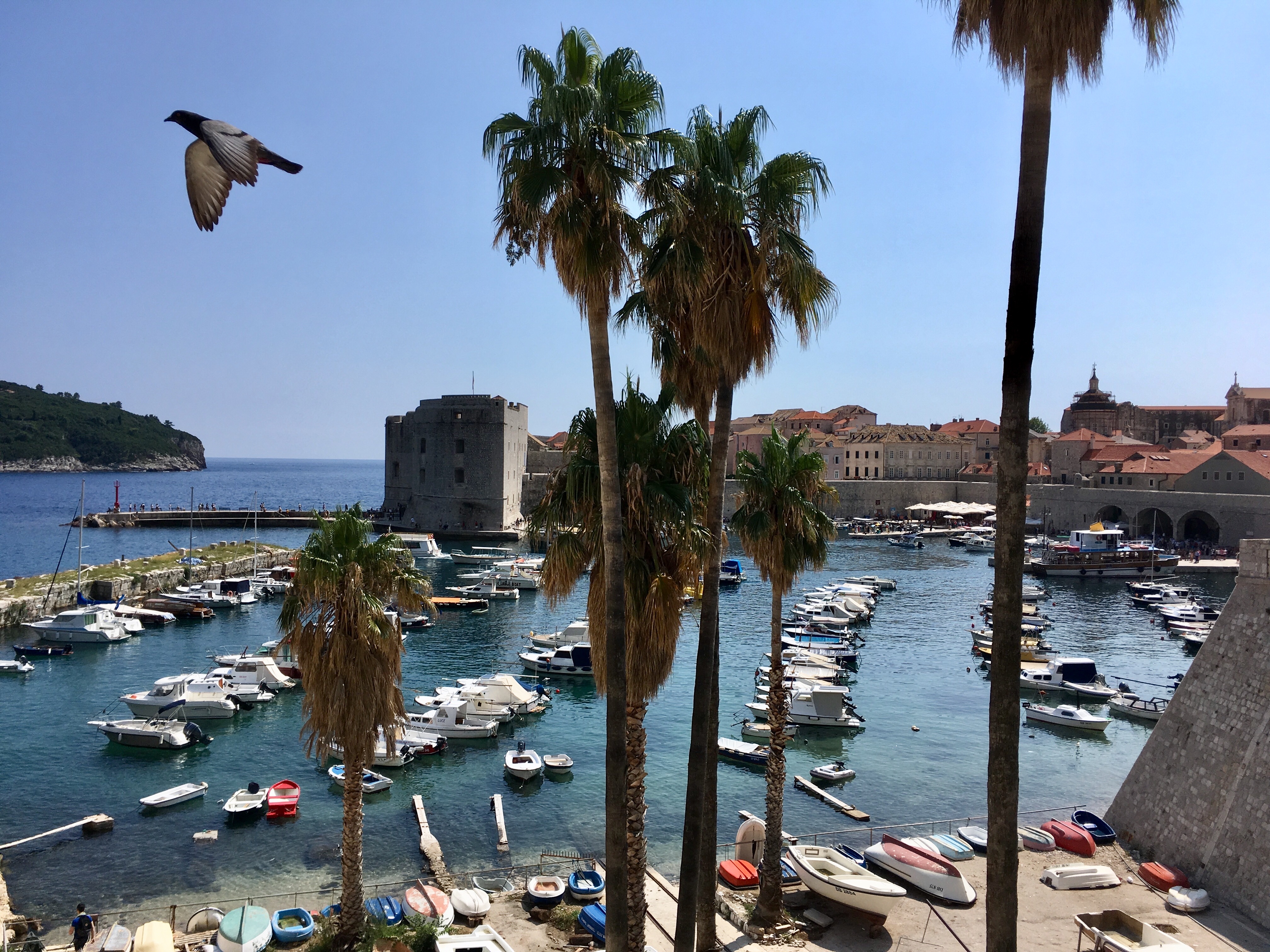 Croatia, old town Dubrovnik