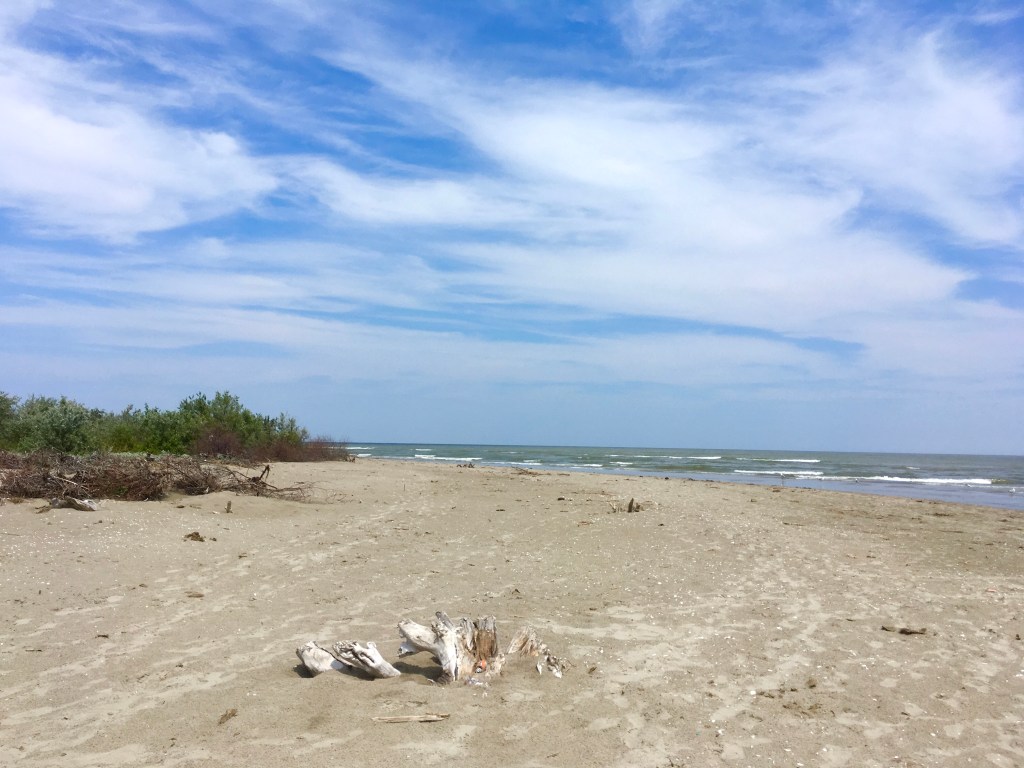 Sfantu Gheorghe, Delta, Romania