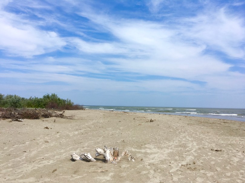 Sfantu Gheorghe, Delta, Romania