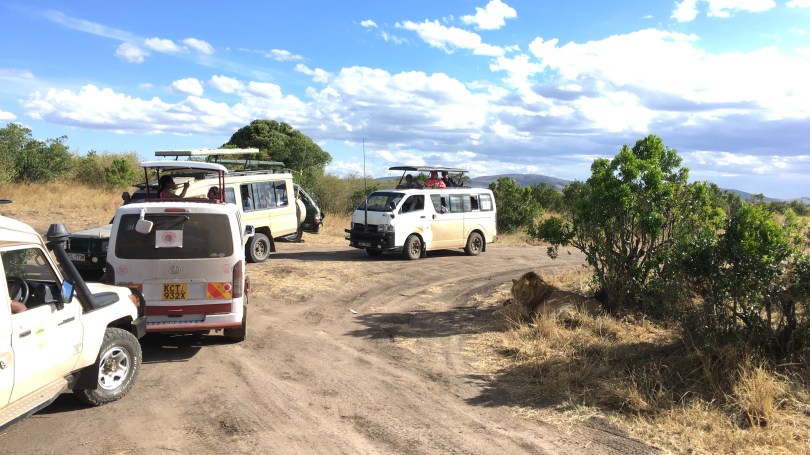 Kenya, Maasai Mara, The Great Migration, Serengeti, wildlife