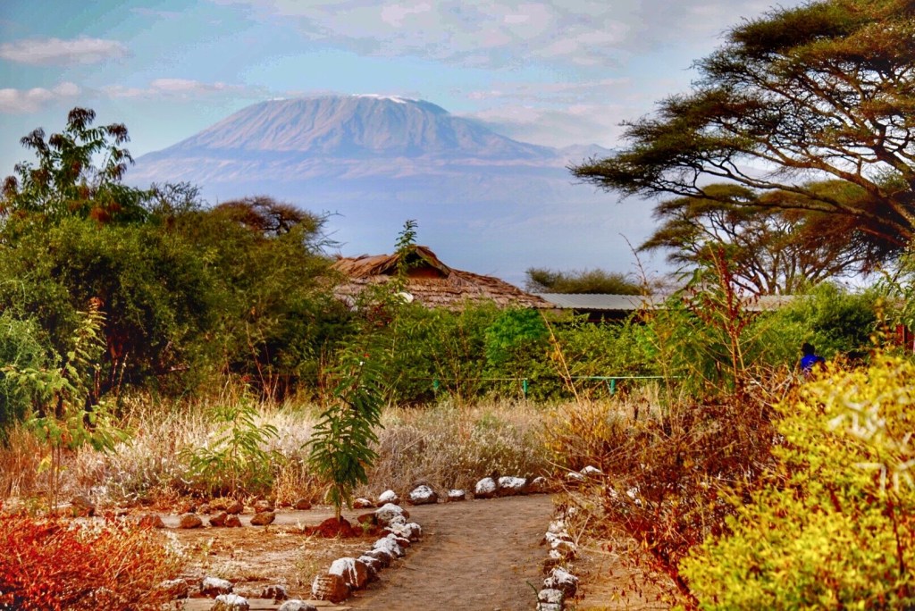 Kilimanjaro, Kenya, Amboseli, safari