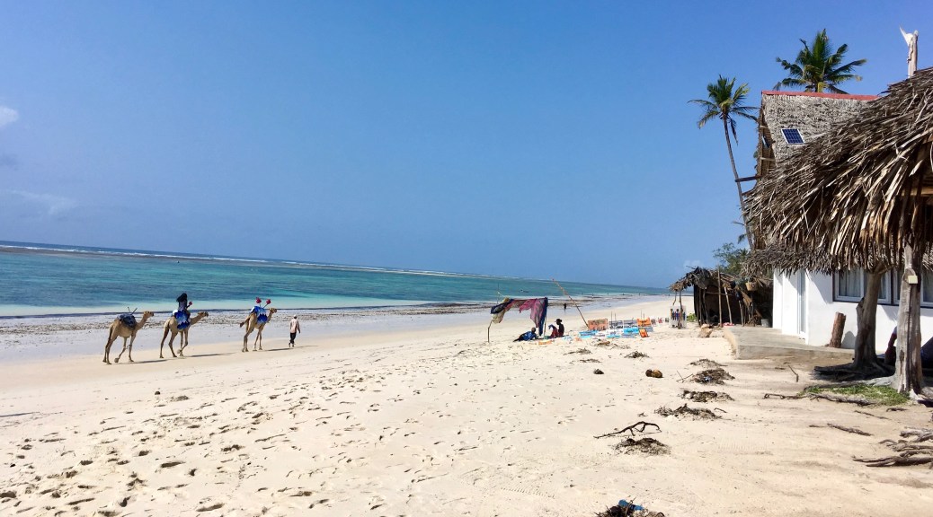amazing beach in Kenya, Diani Beach