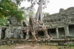 Preah Khan temple, Angkor Wat