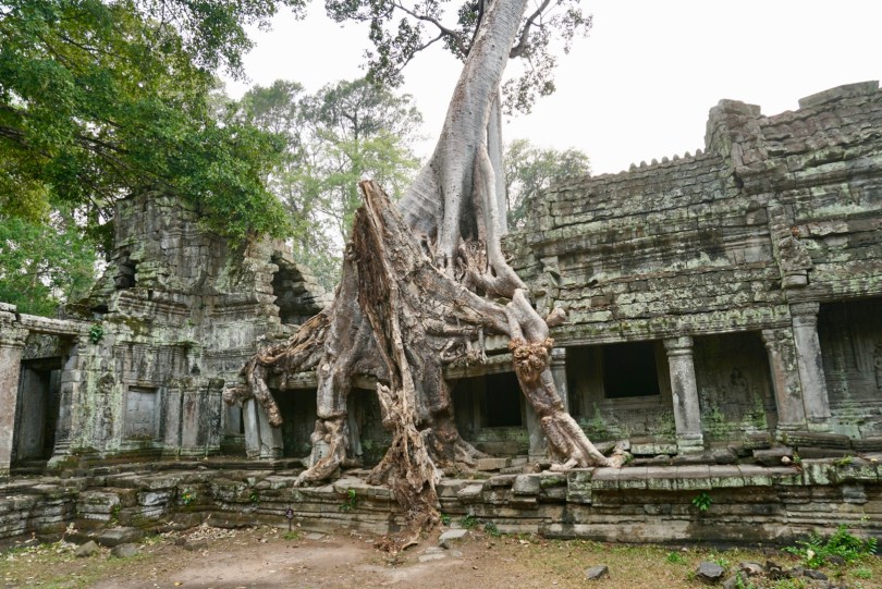 Preah Khan temple, Angkor Wat